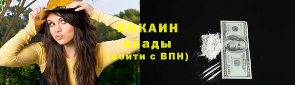 соль курить ск Каменка