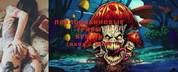 ALPHA-PVP Каменногорск