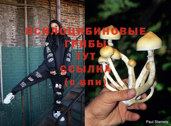 кокаин колумбия Каменск-Шахтинский