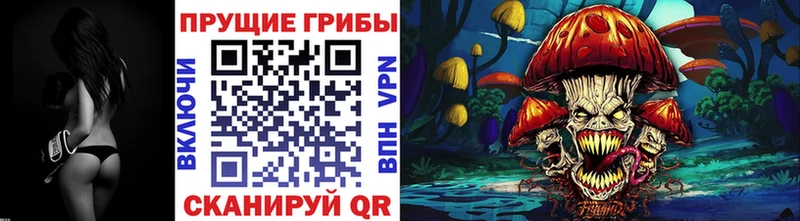 Псилоцибиновые грибы Psilocybe  Набережные Челны 